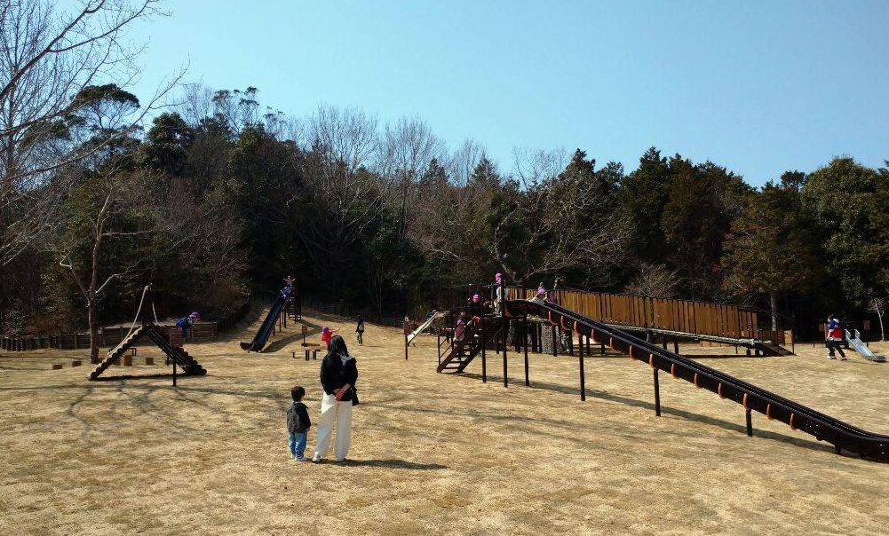 滋賀県の近江富士花緑公園で、三上山（近江富士）を背景に、新しく設置された大型の木製複合遊具で元気に遊ぶ子供たち。
