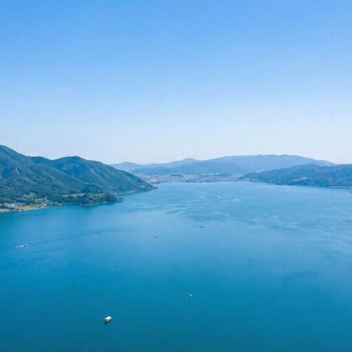 RO-KIのアバター