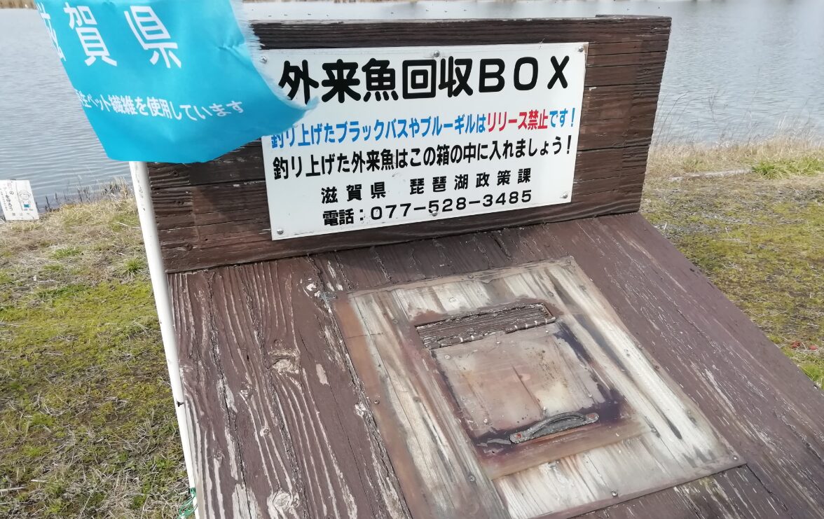 外来魚回収ボックス