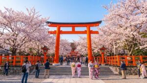 滋賀県大津市にある近江神宮の朱色の大鳥居と、その周囲を彩る満開の桜並木。春の陽光の中、花びらが舞い、着物姿の女性や写真撮影を楽しむ多くの参拝客で賑わう境内の様子。