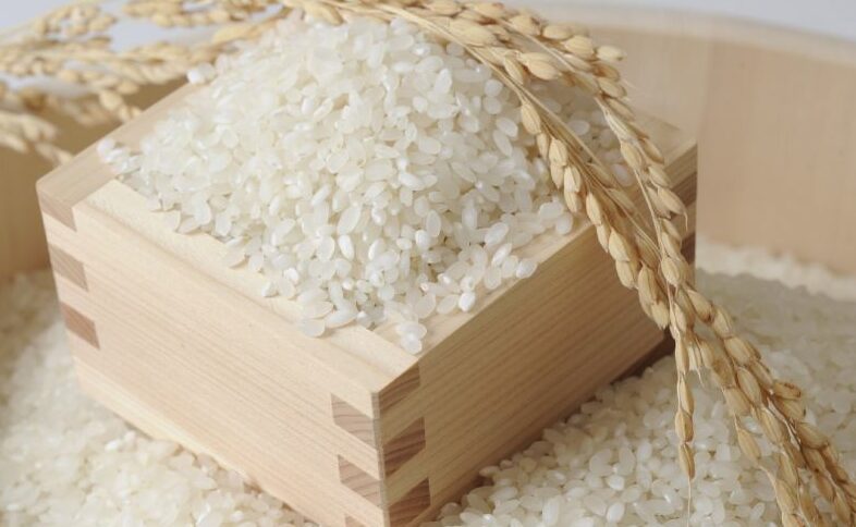 特Aランクを獲得した高品質なみずかがみの生米。粒が均一で美しく、品質の高さが伝わるクローズアップ写真。